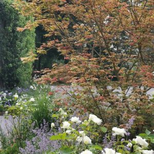 Accès privatif par le parking